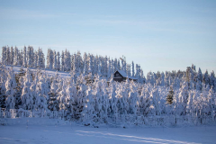 Winter_im_Hochsauerland_157