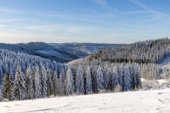 Winter_im_Hochsauerland_159