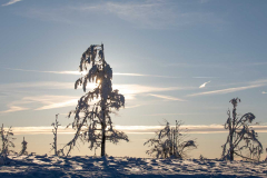 Winter_im_Hochsauerland_161