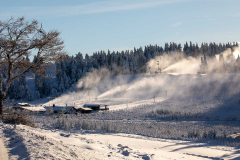Winter_im_Hochsauerland_162
