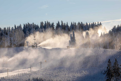 Winter_im_Hochsauerland_164