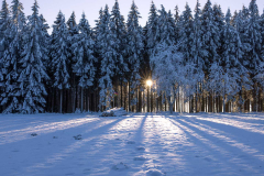 Winter_im_Hochsauerland_167