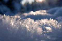 Winter_im_Hochsauerland_168