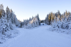 Winter_im_Hochsauerland_169