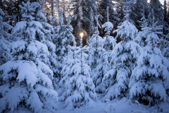 Winter_im_Hochsauerland_171