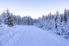 Winter_im_Hochsauerland_172