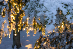 Winter_im_Hochsauerland_175