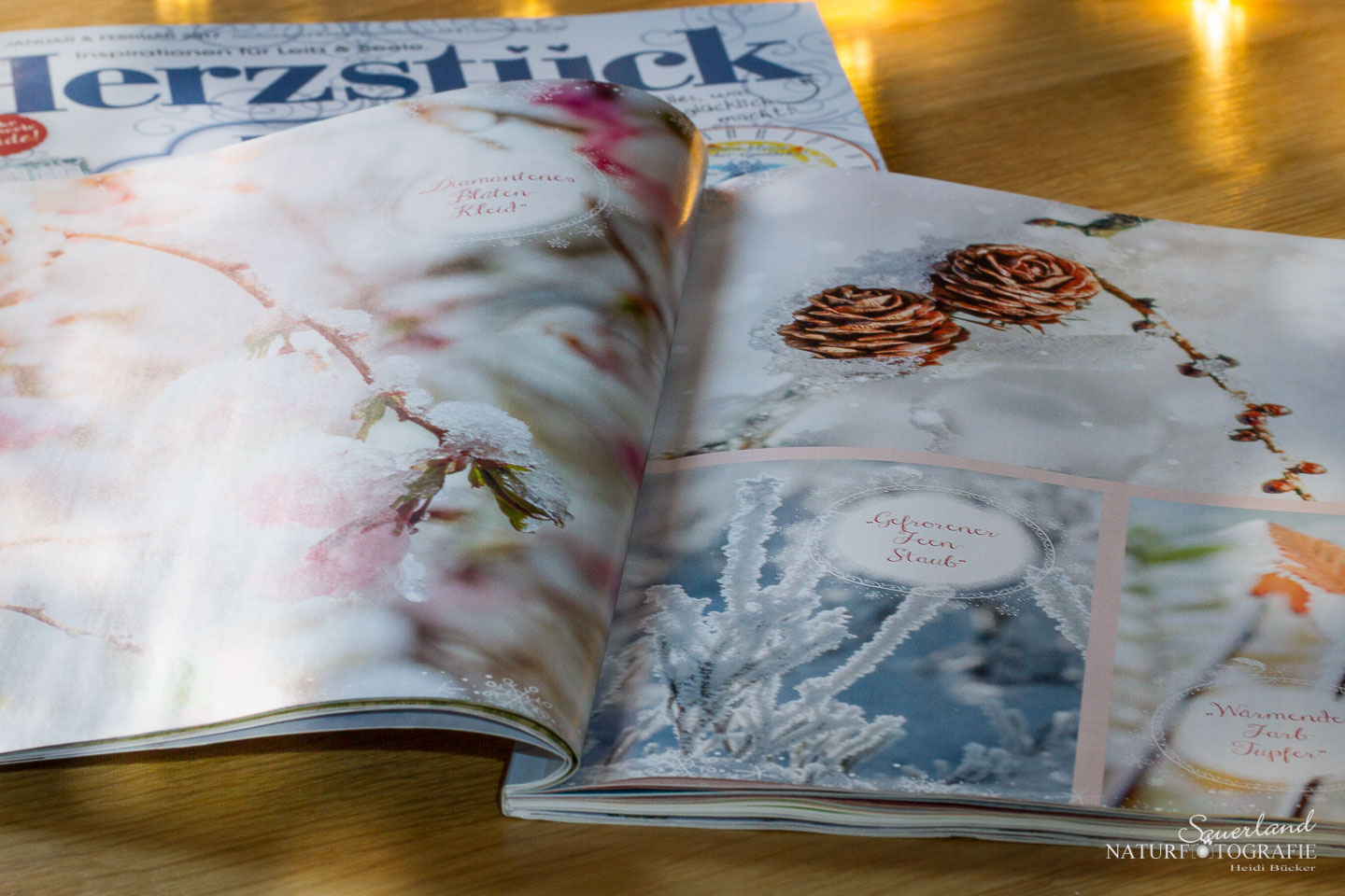 herzstueck-artikel-2