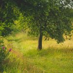 Naturweg am Kreuzberg in Winterberg