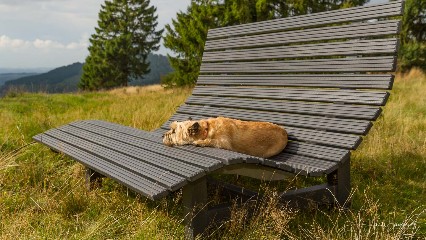 Waldsofa - Tischlerei Belke