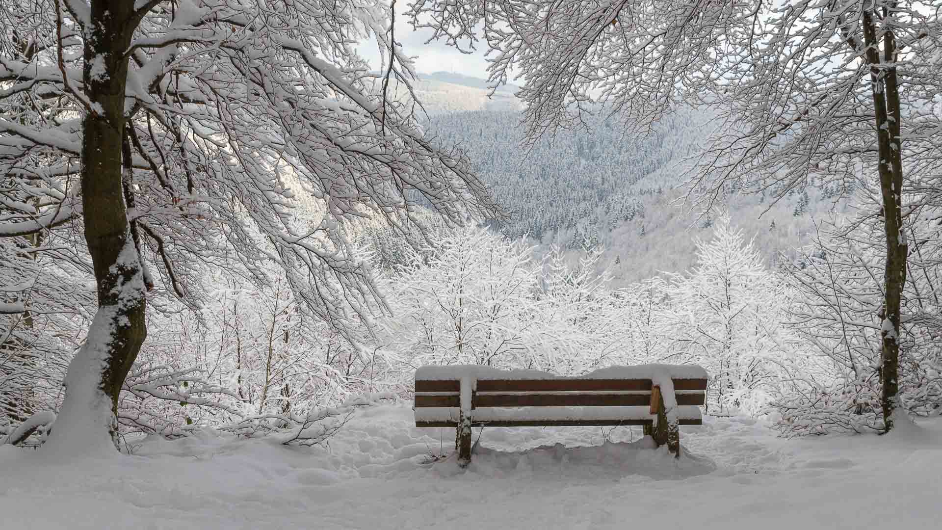 Blick vom Nordhang des Kahlen Asten ins Rauchloch