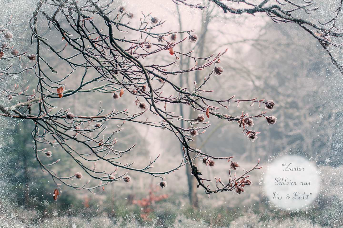 Winterweiße Zauberwelt