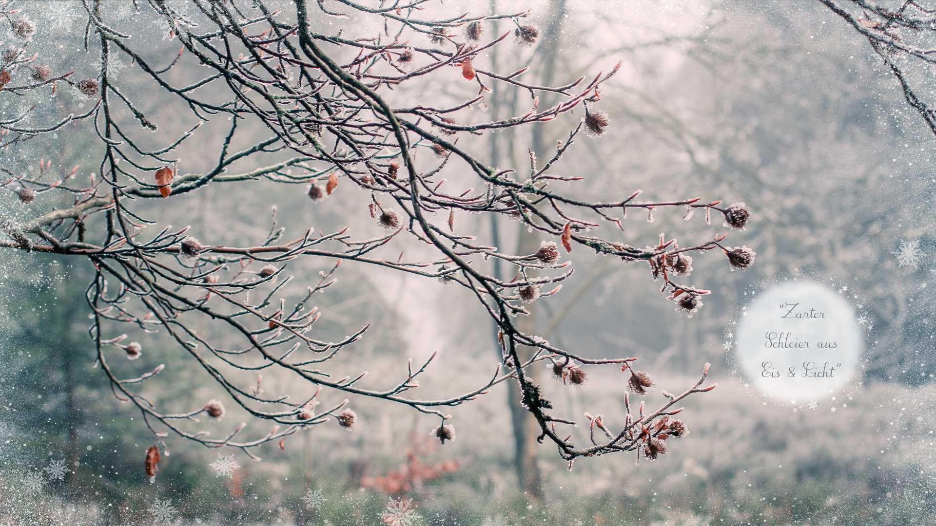 Winterweisse Zauberwelt
