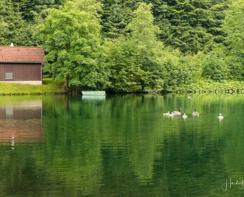 Silbersee-Sommer-13
