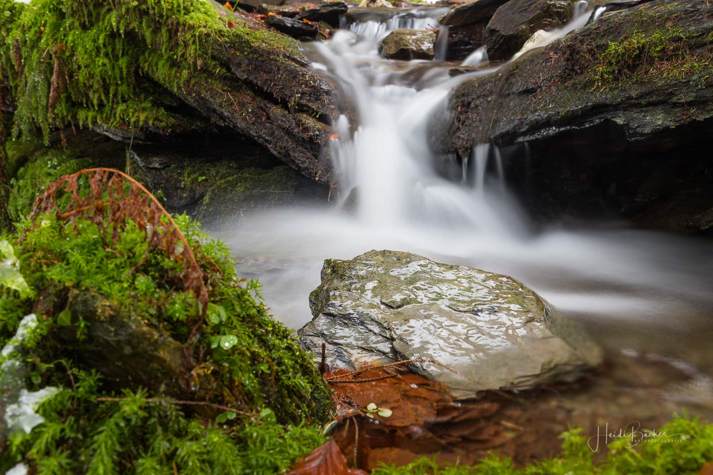 Die Lüttmecke unterhalb des Hexenplatzes