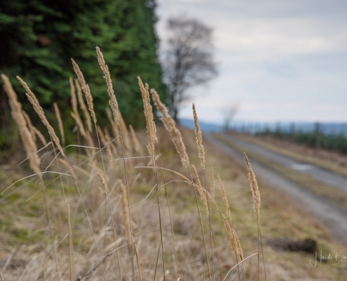 Wandern im Schmallenberger Sauerland