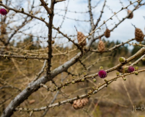Wanderung-Schanze-14