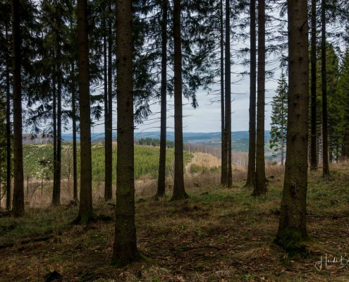 Wanderung-Schanze-17