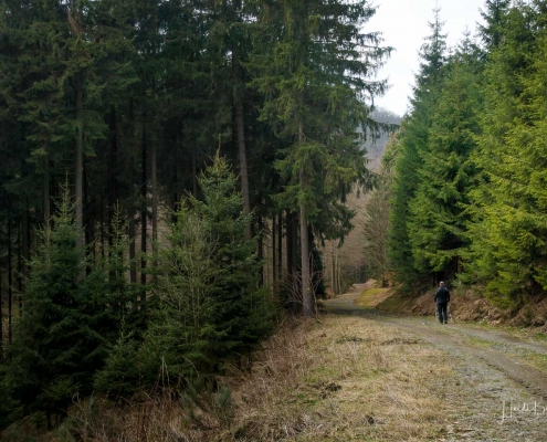 Wanderung-Schanze-20