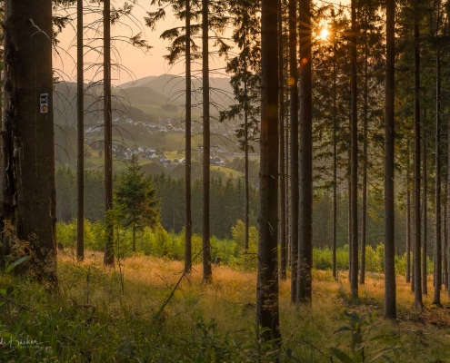 Abendstimmung im Sauerland