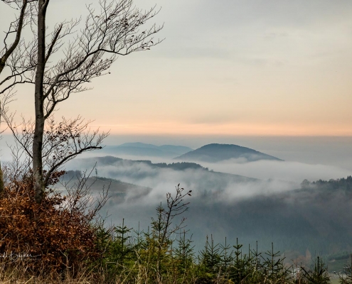 Aussicht vom Westfelder Antoniussteig