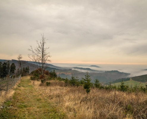 Aussicht vom Westfelder Antoniussteig