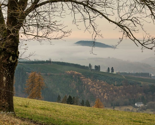 Aussicht vom Westfelder Antoniussteig auf Oberkirchen