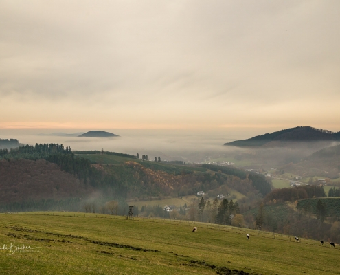 Aussicht vom Westfelder Antoniussteig auf Oberkirchen