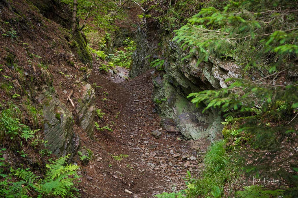 Bärenschlucht am Kahlen Asten
