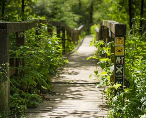 Sauerland-Höhenflug und Winterberger Hochtour verlaufen über den Brückenpfad