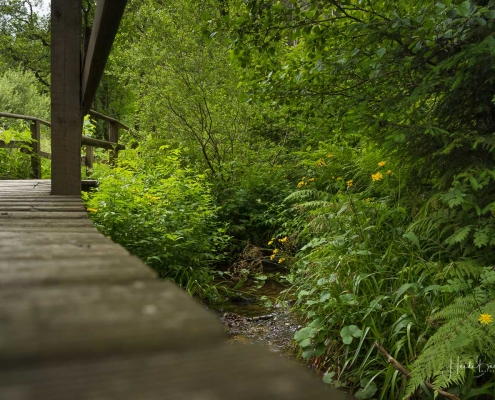 Holzsteg über der Renau