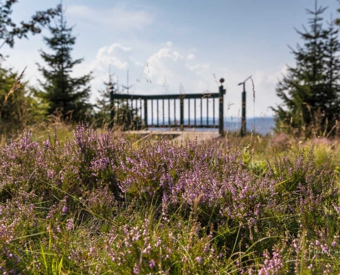 Aussichtsplattform "Goldener Pfad"