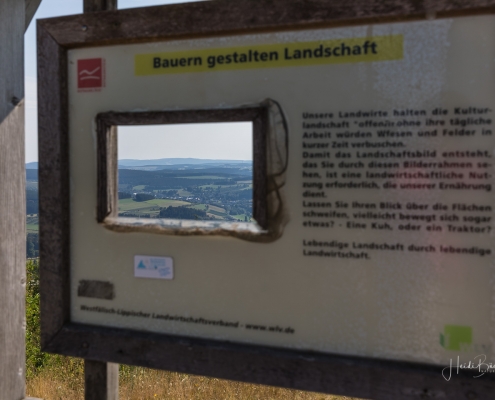 Hinweistafel auf dem Clemensberg