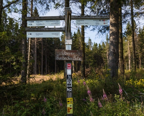 Oberer Burbecker Platz am Rothaarsteig