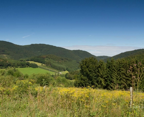 Olsberger Gipfeltour 01