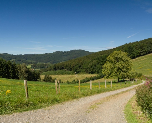 Olsberger Gipfeltour 03