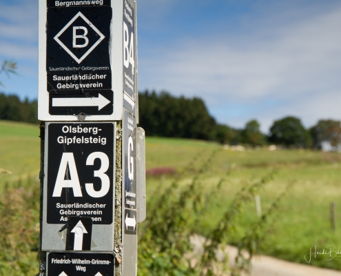 Olsberger Gipfeltour 04