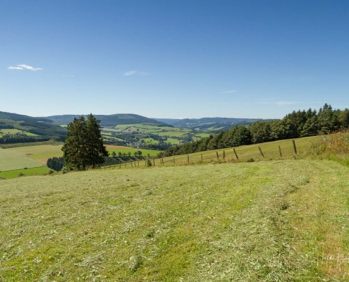 Olsberger Gipfeltour 07