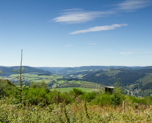 Olsberger Gipfeltour 09