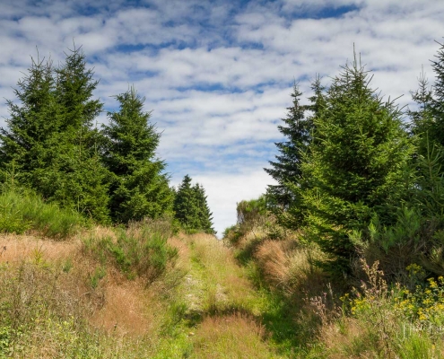 Olsberger Gipfeltour 10