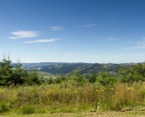 Olsberger Gipfeltour 11