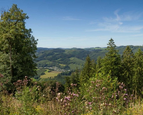 Olsberger Gipfeltour 13