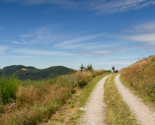 Olsberger Gipfeltour 14