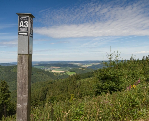 Olsberger Gipfeltour 15