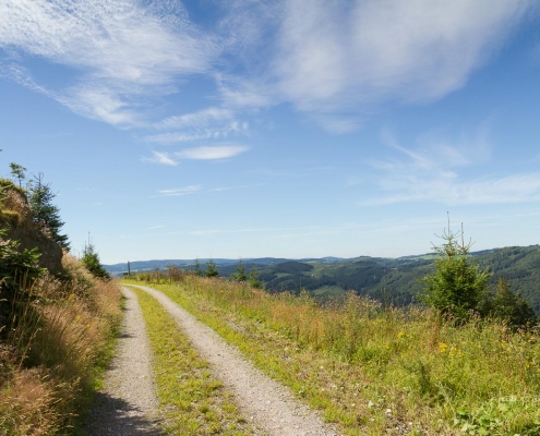 Olsberger Gipfeltour 17