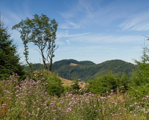 Olsberger Gipfeltour 18