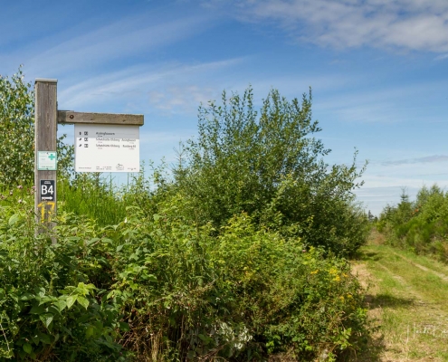 Olsberger Gipfeltour 20