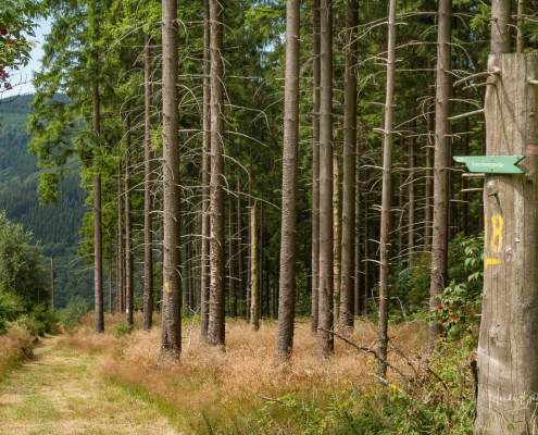 Olsberger Gipfeltour 21