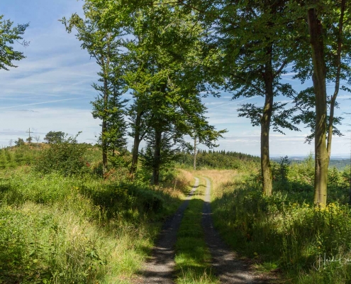 Olsberger Gipfeltour 22