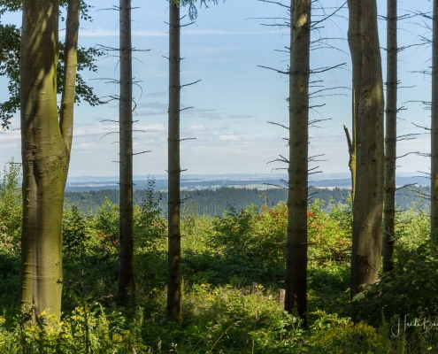 Olsberger Gipfeltour 23